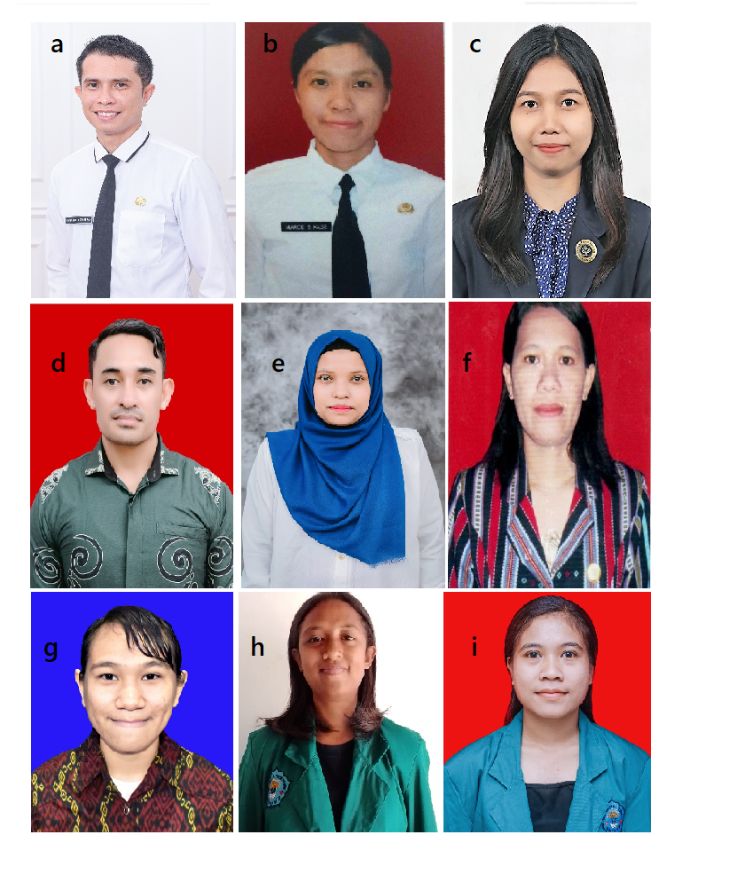 UJI PUBLIK CAPANSEL PENCEGAHAN DAN PENANGANAN KEKERASAN SEKSUAL (PPKS) DI LINGKUNGAN UNIVERSITAS TIMOR.