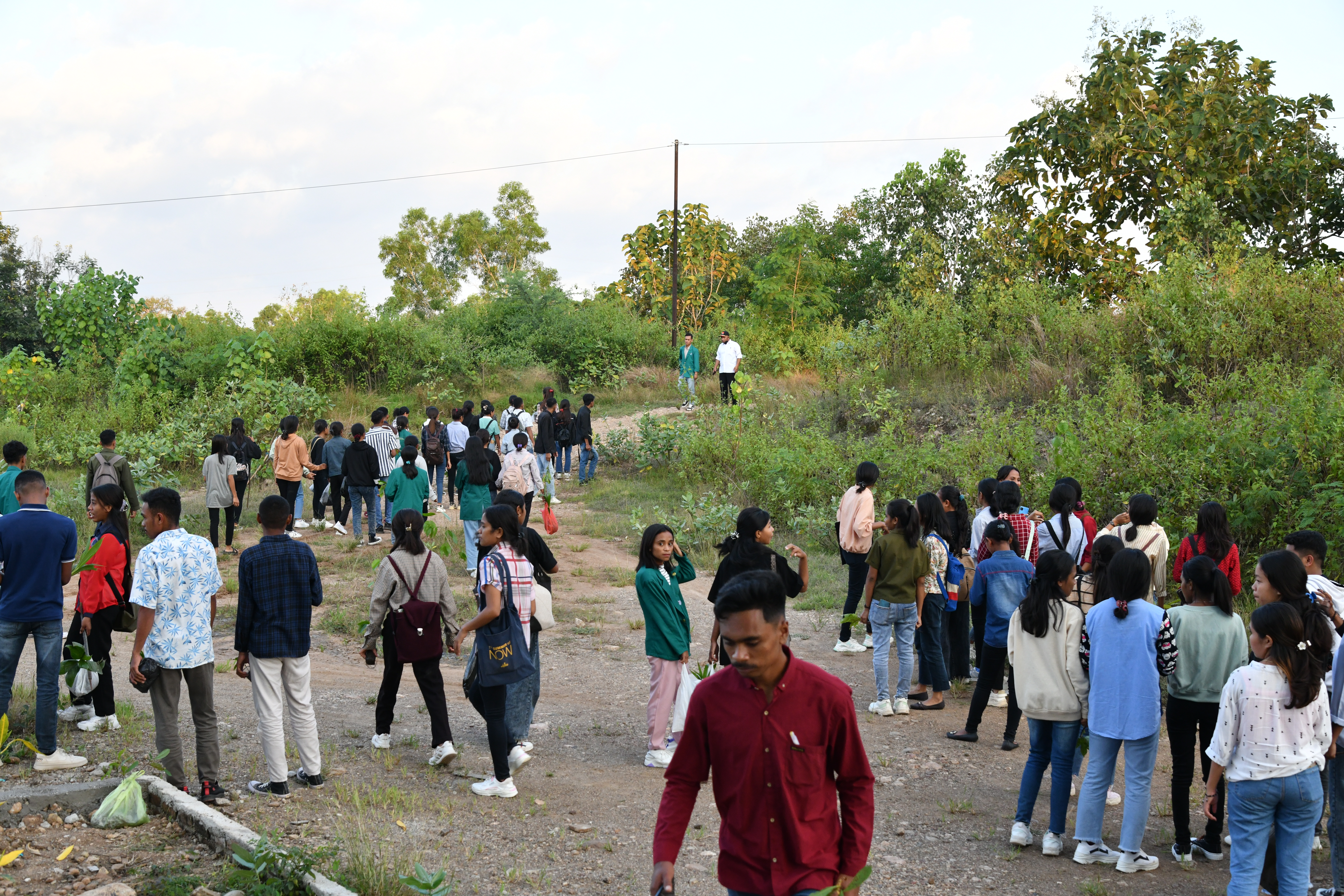 Lewat Penanaman Pohon, IMBK Unimor Beri Kontribusi Untuk Kampus