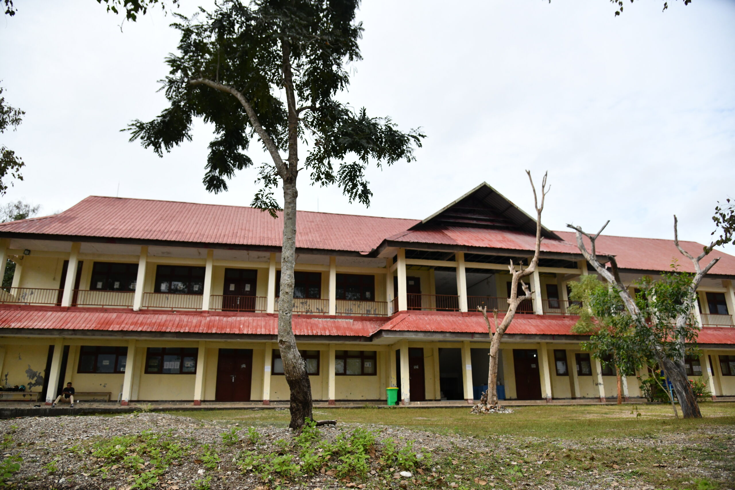 PENGUMUMAN KELULUSAN SNBP TAHUN 2025 UNIVERSITAS TIMOR.