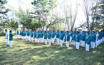 Pengumuman Penerimaan Mahasiswa Baru Jalur Mandiri Universitas Timor Tahun Akademik 2025/2026